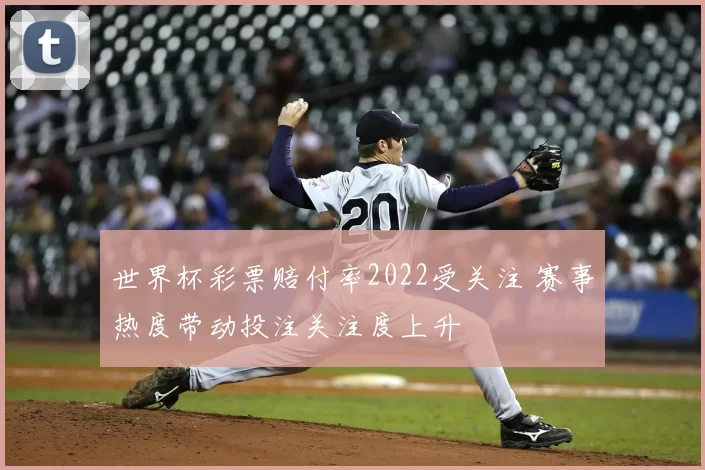 世界杯彩票赔付率2022受关注 赛事热度带动投注关注度上升